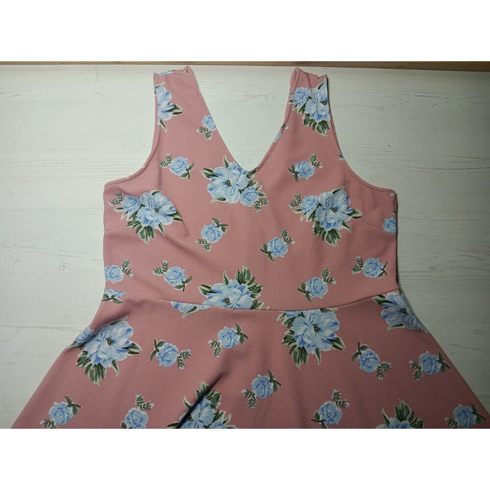Alison Andrews Pink And  Blue Floral Fit & Flare Dress Women’s Size XL